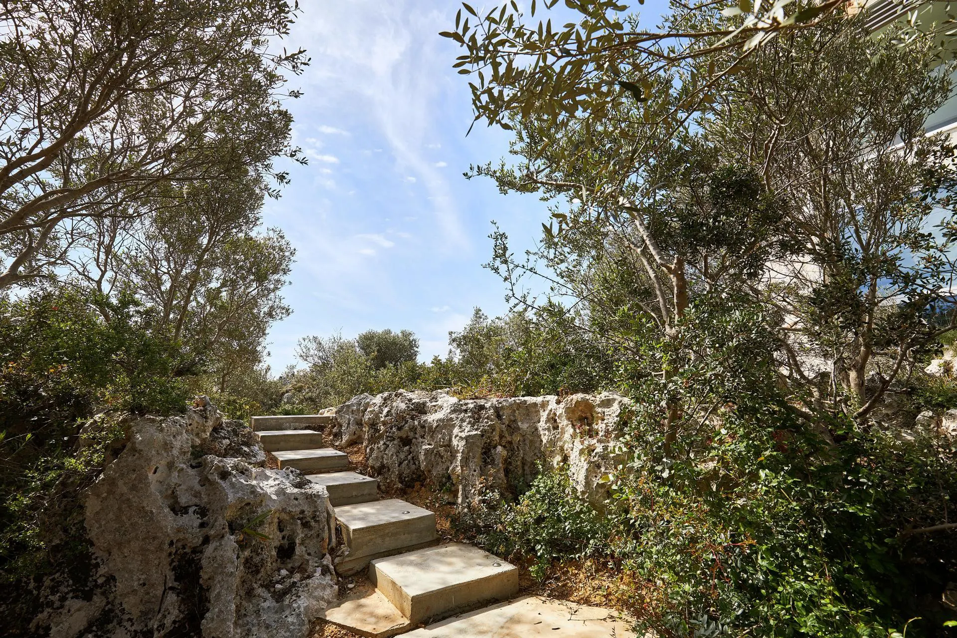 olives-and-thyme-gallery-12