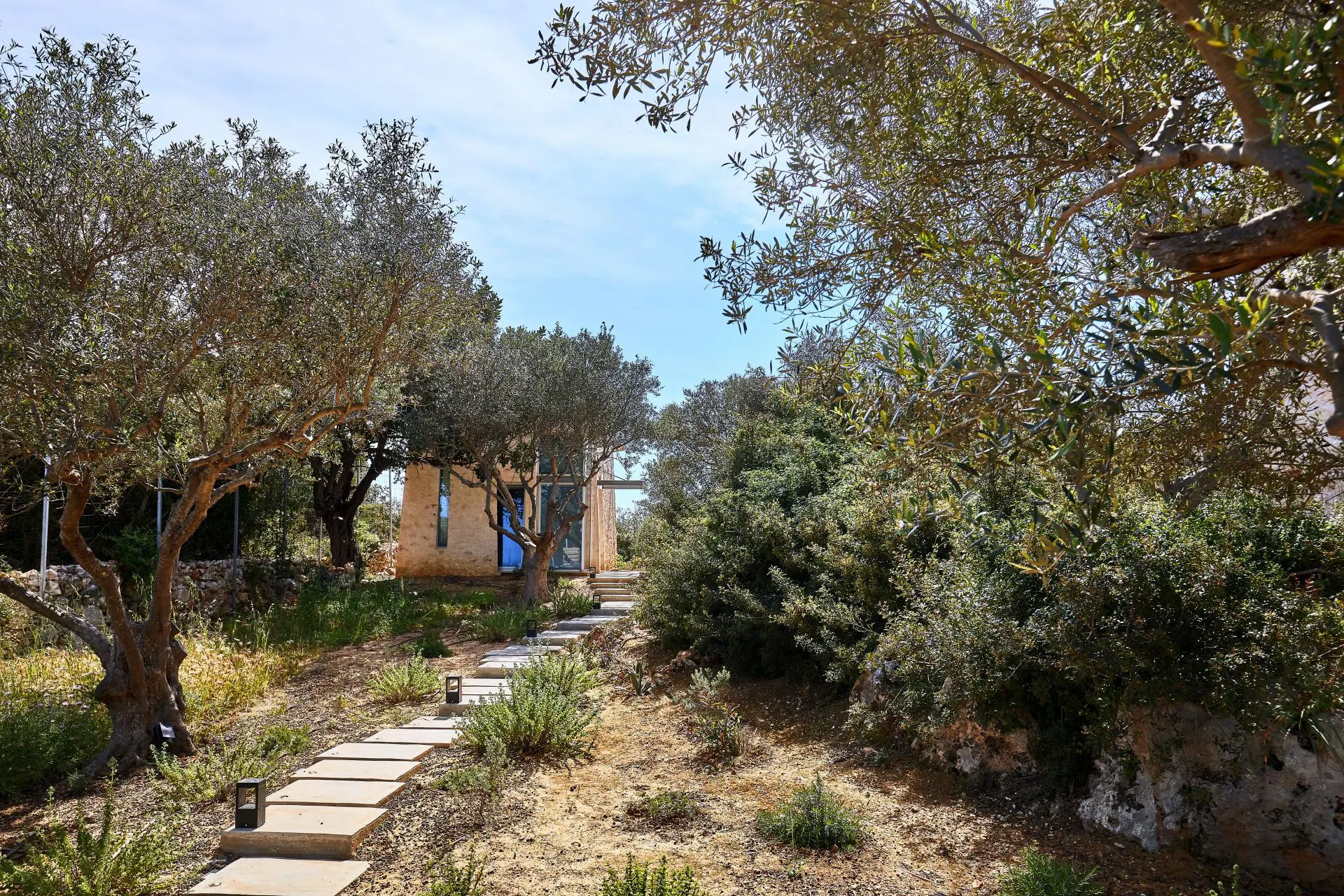 olives-and-thyme-gallery-14