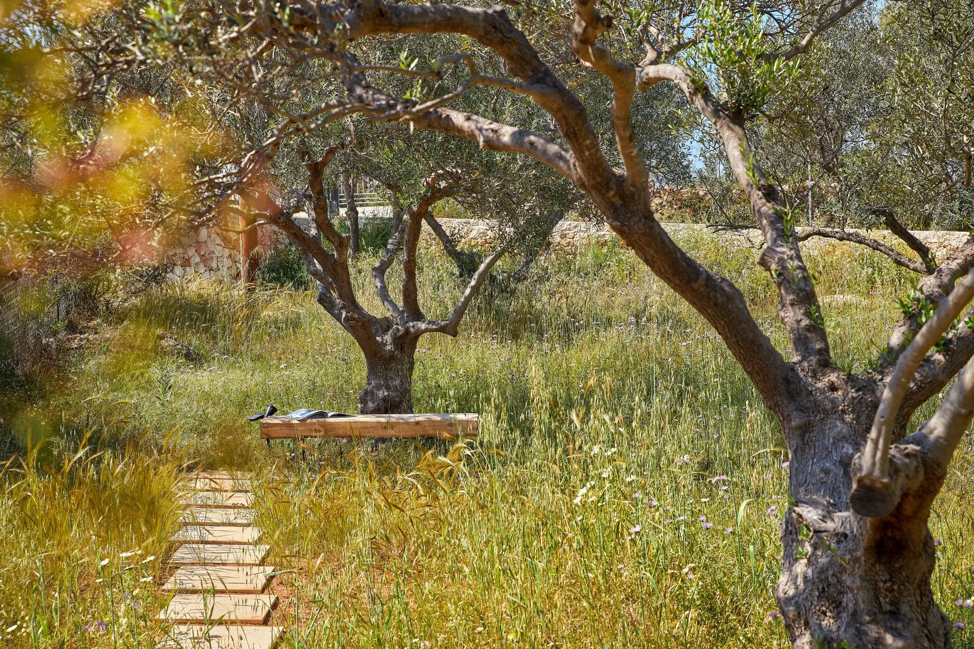 olives-and-thyme-gallery-5